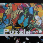 Multicolored butterflies fill the cover