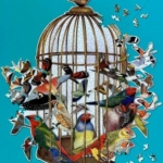 Bird cage bursting open with many types of birds