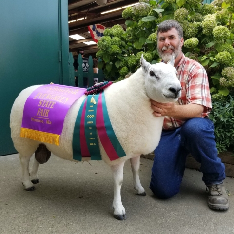 Shepherd and Fiber Artist Dean Hyden with a Prize-Winning Sheep.