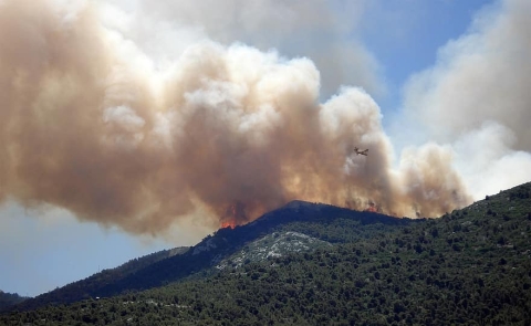 Wildfire