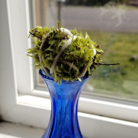 A Mossball in front of a window on top of a vase