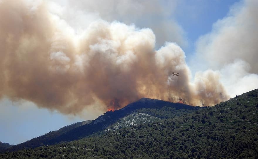 Wildfire