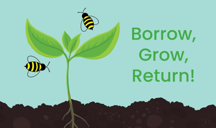 Cute plant with bees flying around it and the words Borrow Grow Return for the WSU Seed Library.