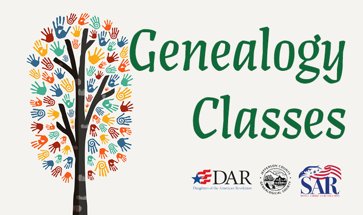 Tree symbolizing genealogy